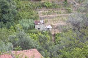 Xtrallusion photo library of independent, self-guided walking and sightseeing holidays in Italy. Pictures, images, photos and photographs taken along the way of this 1-day walking itinerary, to give you a visual impression of the day's walk.